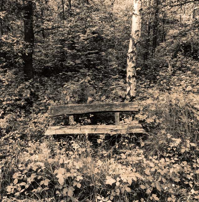 Lucky Bench