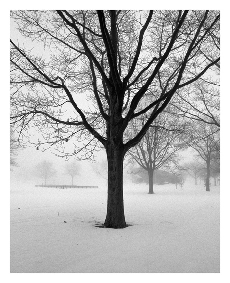 Ludington Park