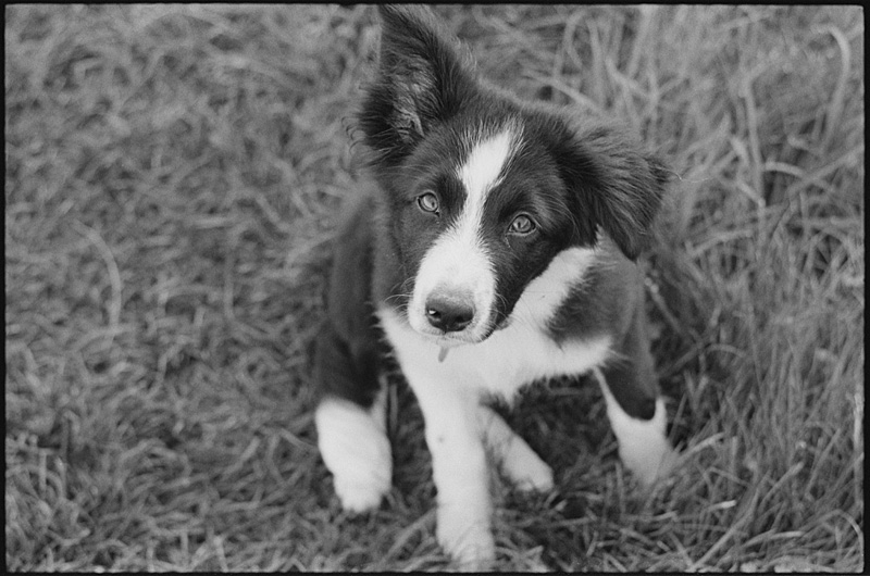 luka