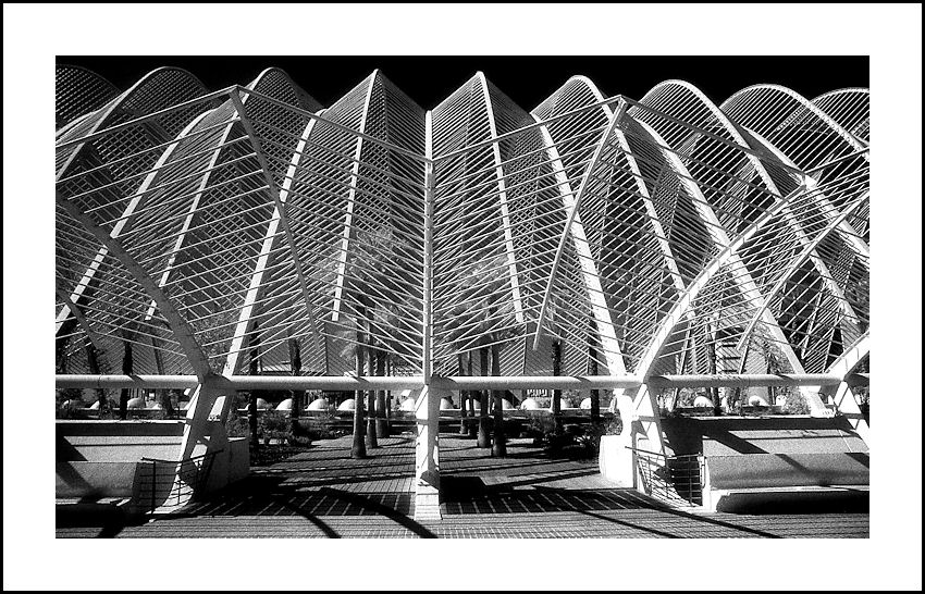 L'UMBRACLE Side Elevation