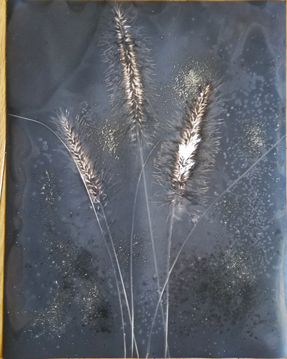Lumen Grass