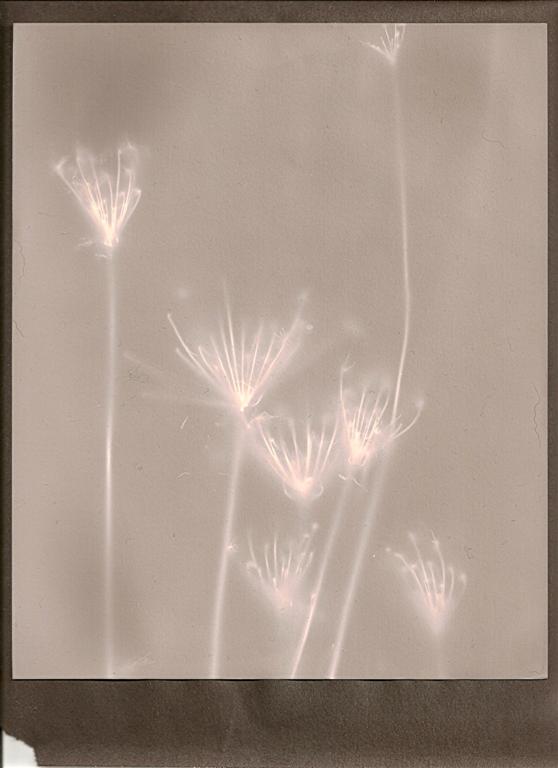 lumen light
