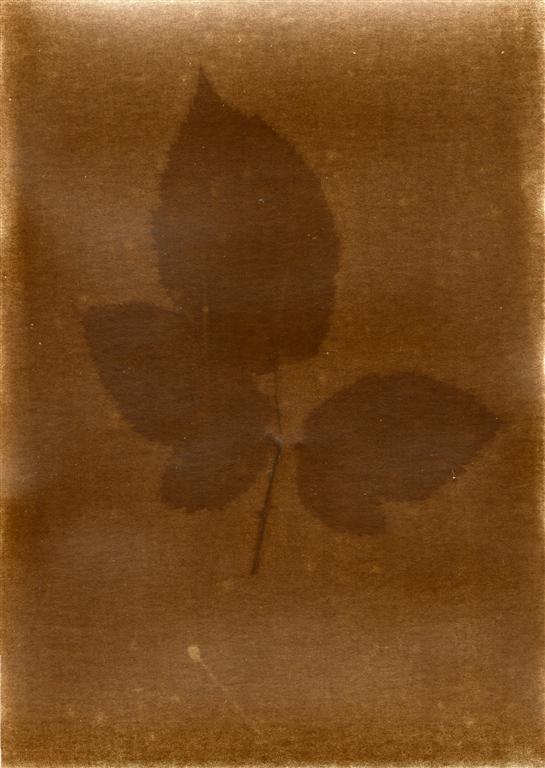 Lumen Reversed experiment