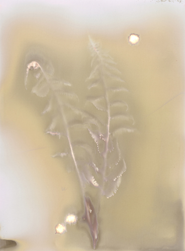 lumen1