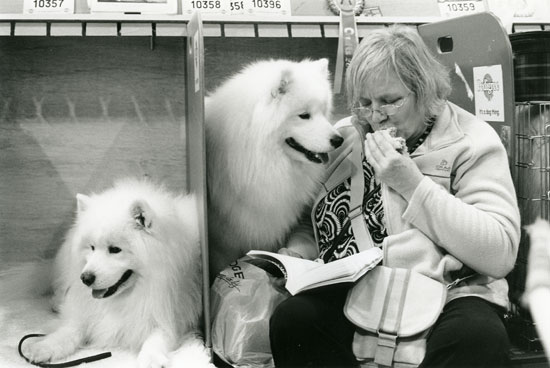 Lunch break, Crufts, 2007.
