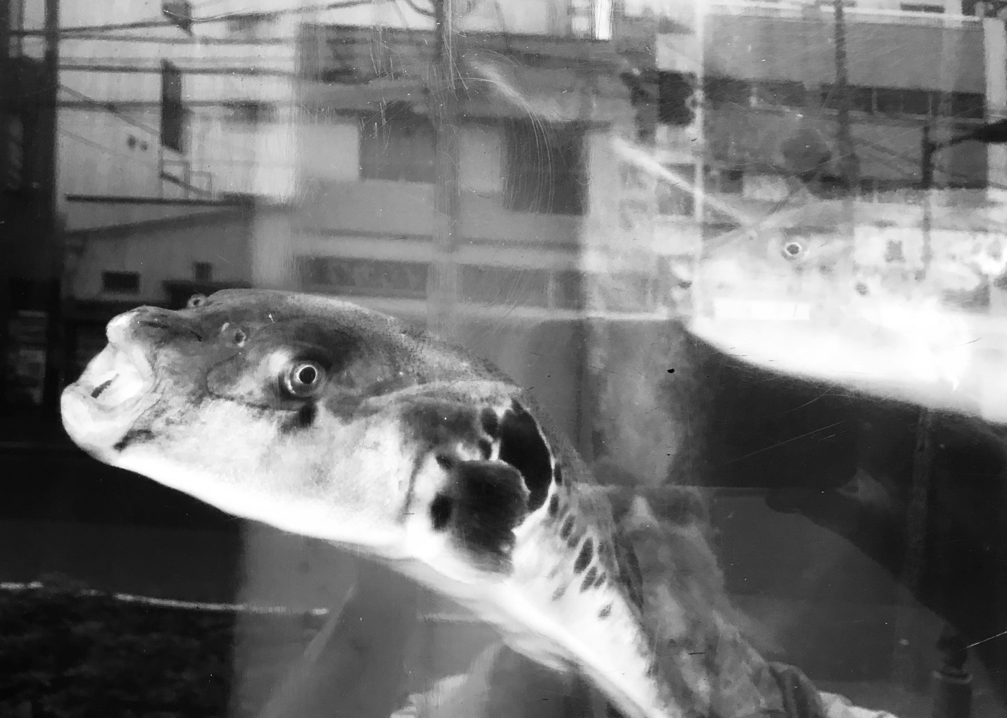 Lunch Tokyo