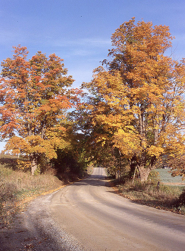 Maclaren Sideroad, Caledon Ontario