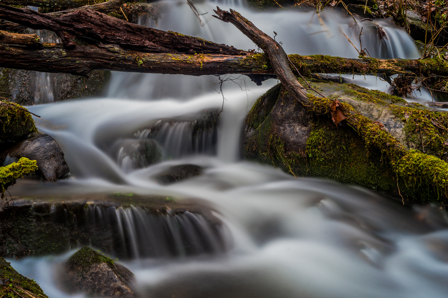 Macquarie Ridge