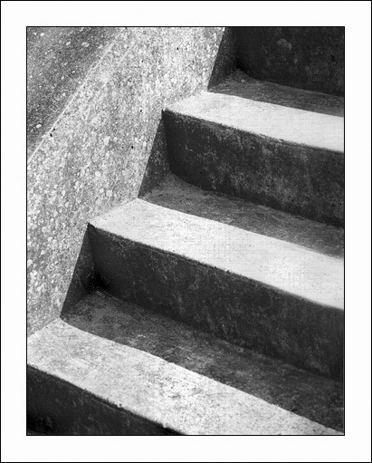 Mad Dogs and Englishmen........2