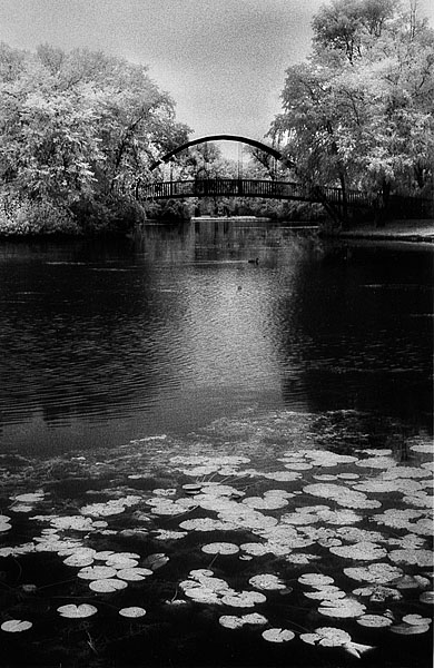 Madison Park