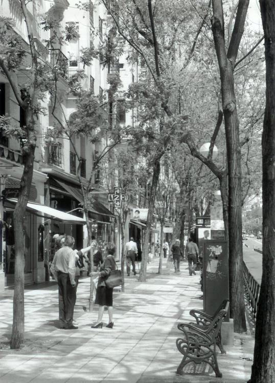 Madrid Street