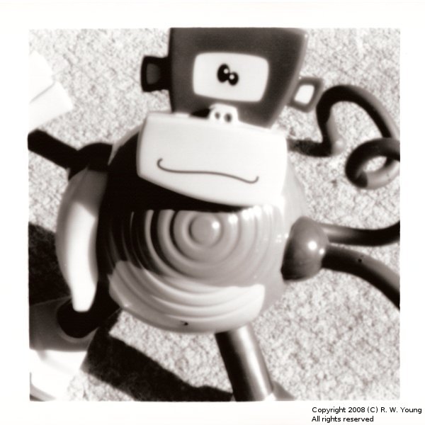 Magnetic Monkey