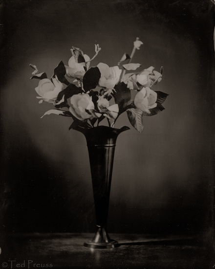 Magnolias