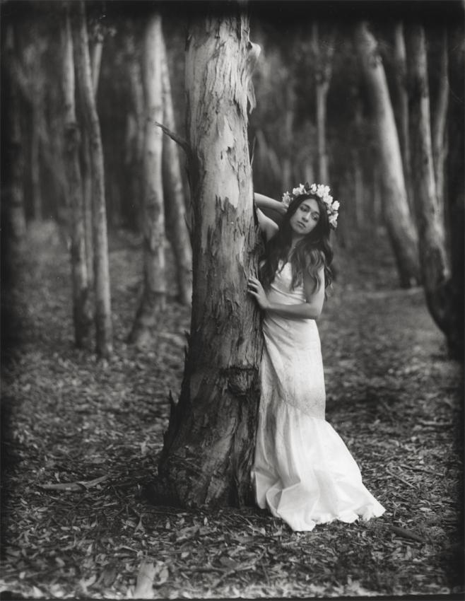 Maiden of the Forest