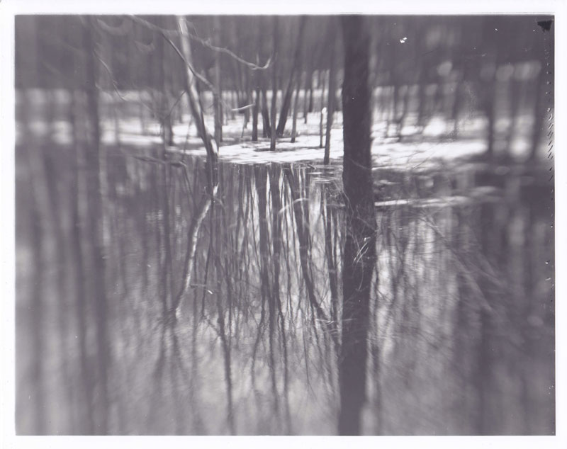 makeshift lens landscapes