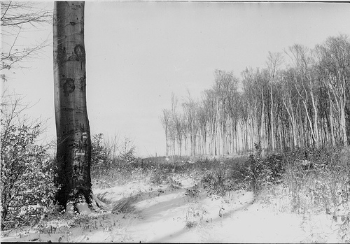 Male Karpaty in winter
