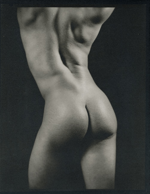 Male Torso, Rear
