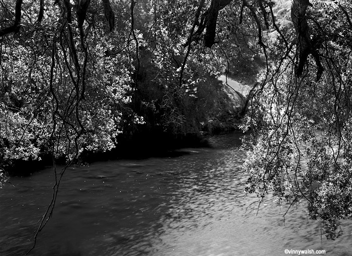 malibu creek