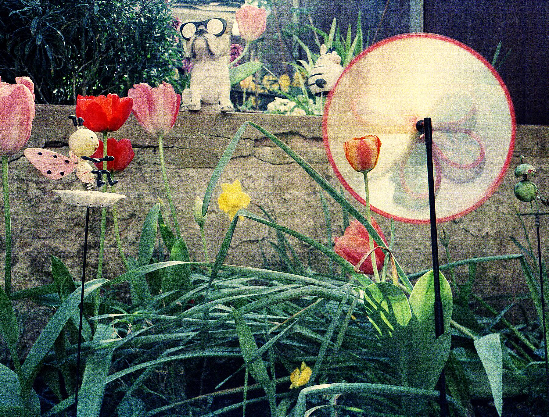 Mamiya Press Super 23 test with Old  Kodak