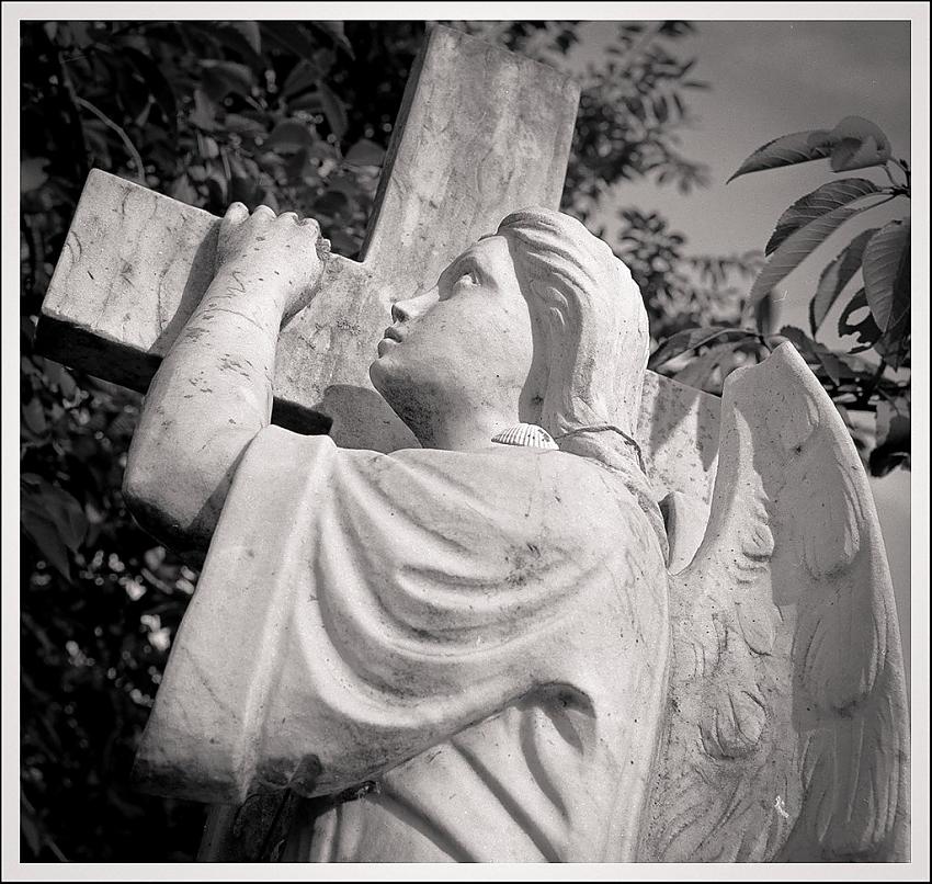 Mamiya RZ First shots