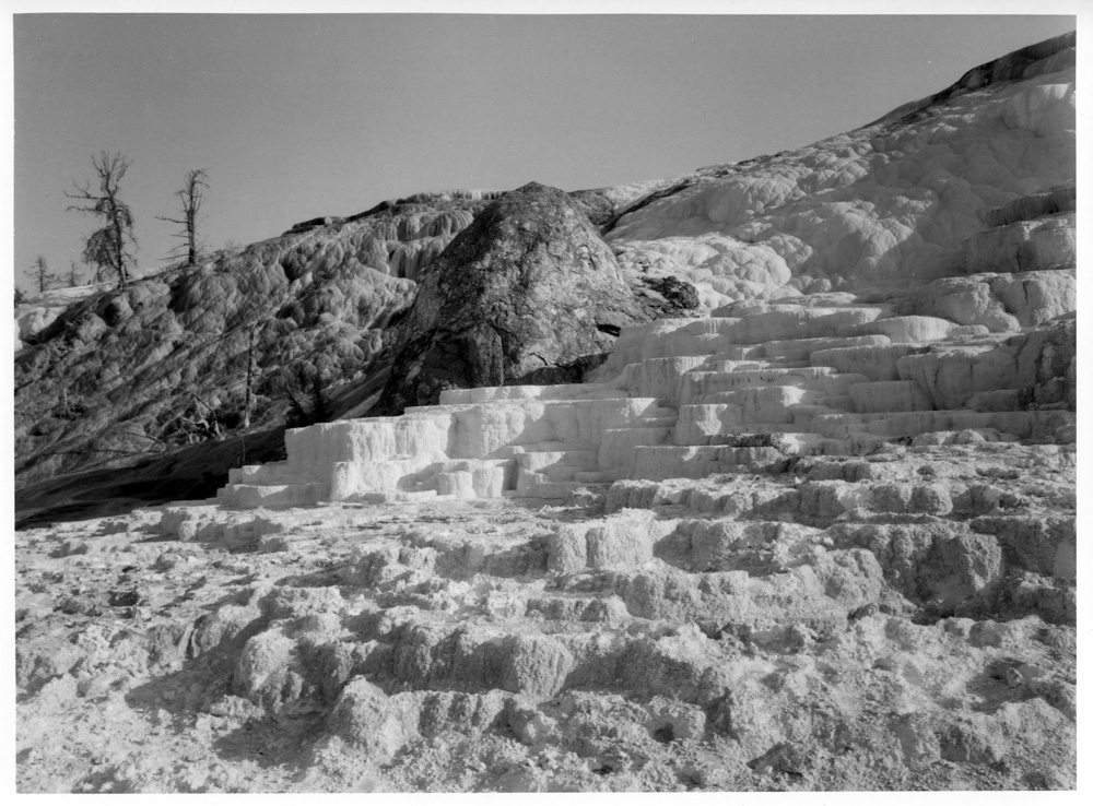 Mammoth Hot Springs