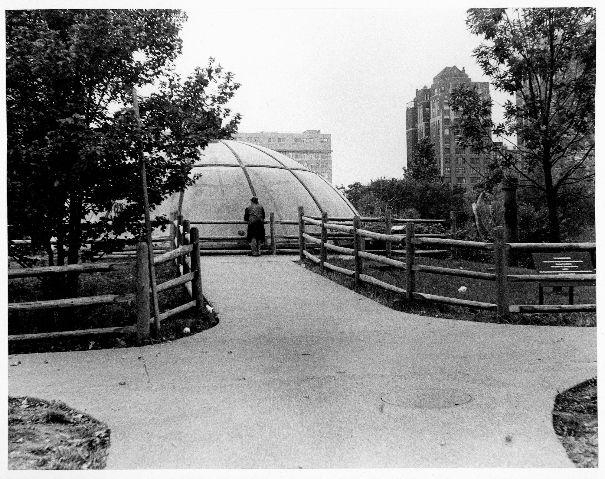 Man and Dome