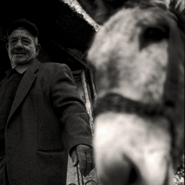 Man And His Donkey