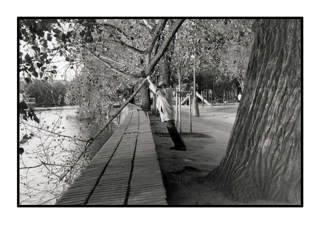 Man and Tree - Prague