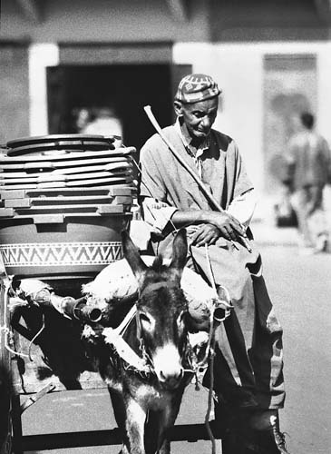 Man & His Donkey