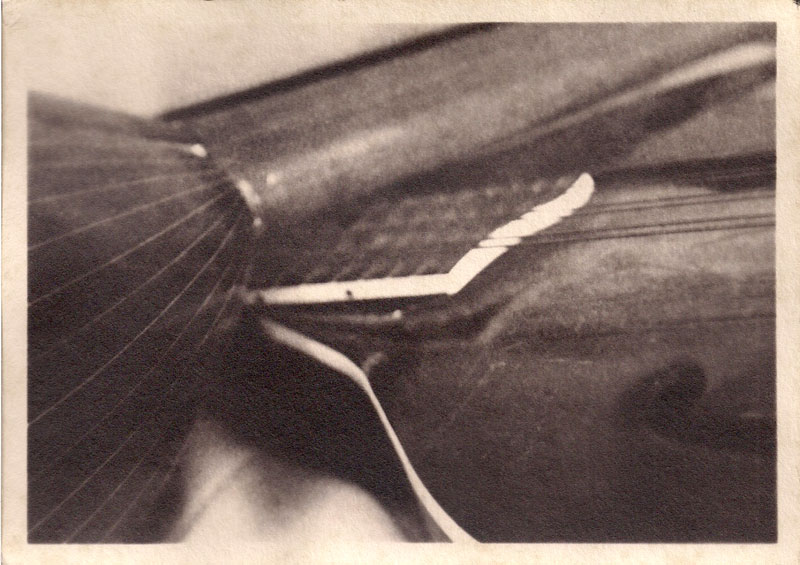 Mandolin Etude #1