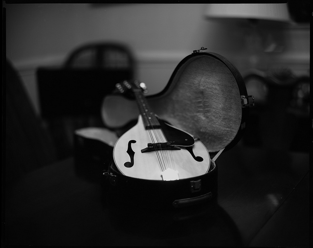 Mandolin