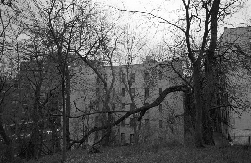 manhattan: a walk in the park