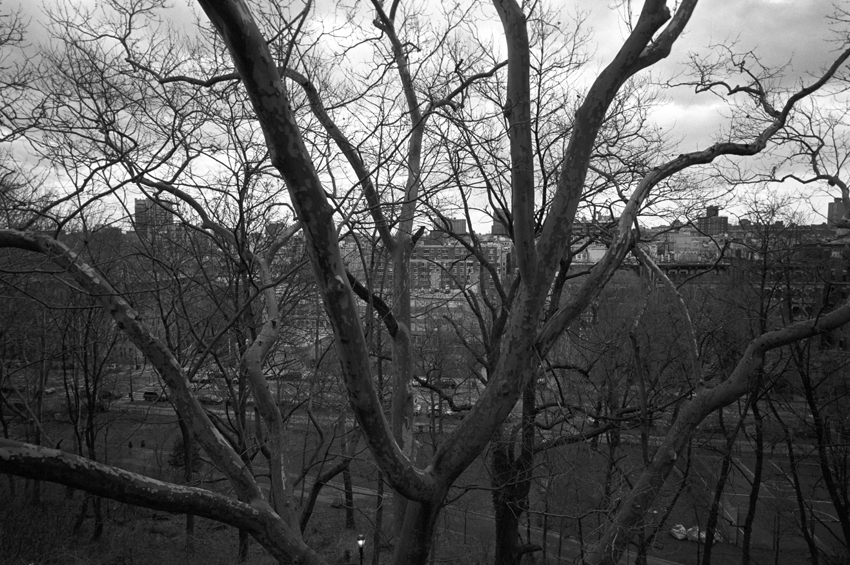 manhattan: a walk in the park