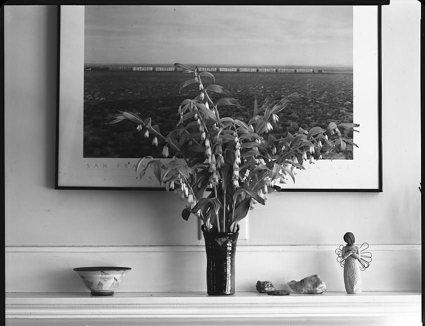 Mantlepiece, Flowers