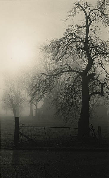 Maplelawn Farmstead