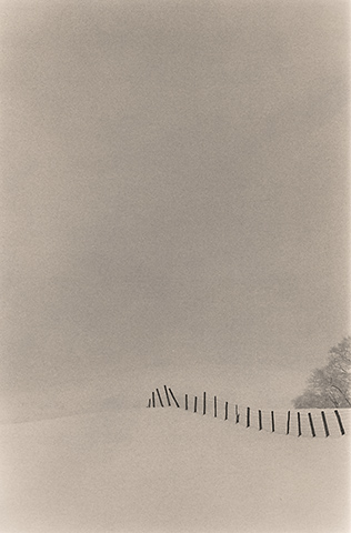 Marching into the Mist