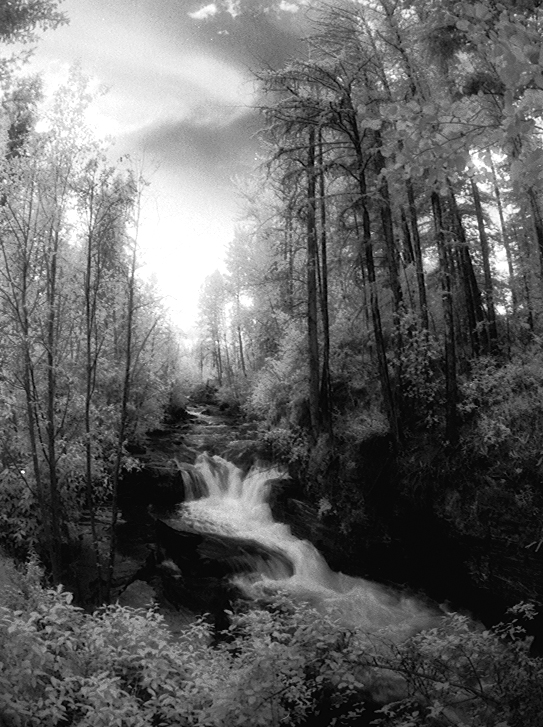 Mark Creek