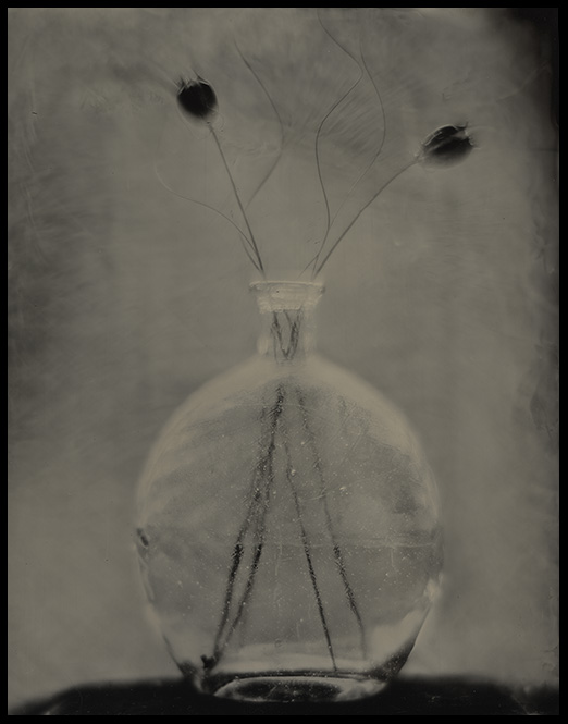 Maroon Vase and Pods