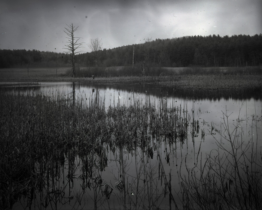 Marsh - Dry Plate