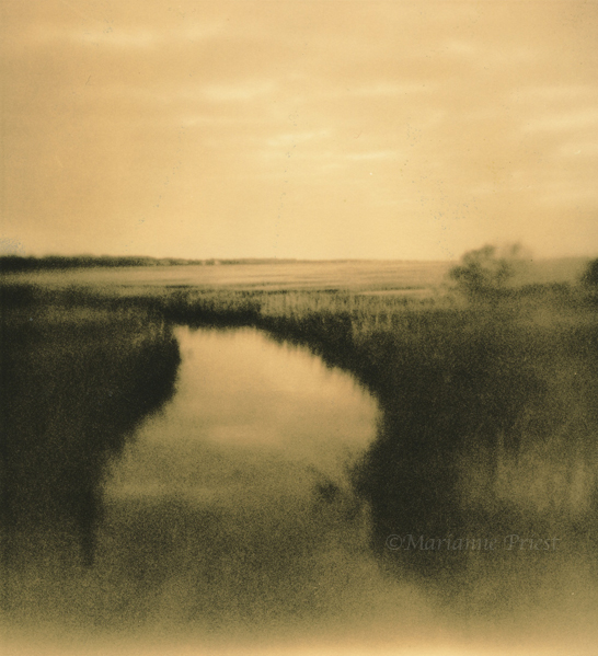 marsh impressions