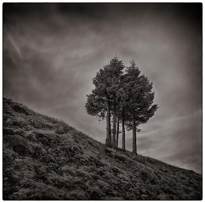 Marys Peak #3