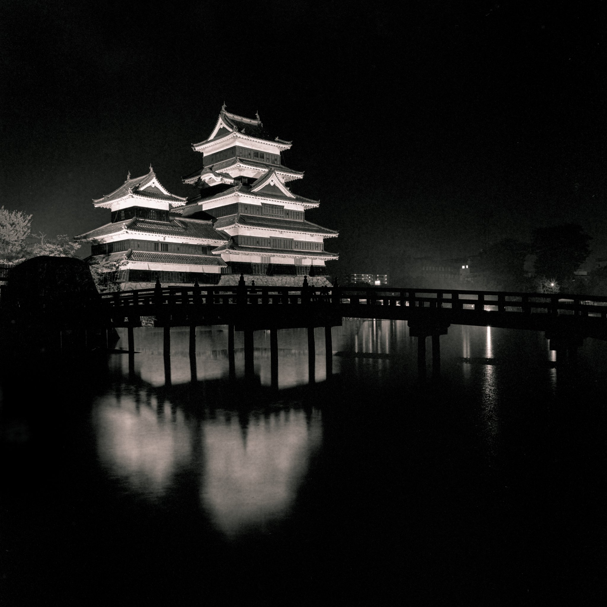 Matsumoto's Castle