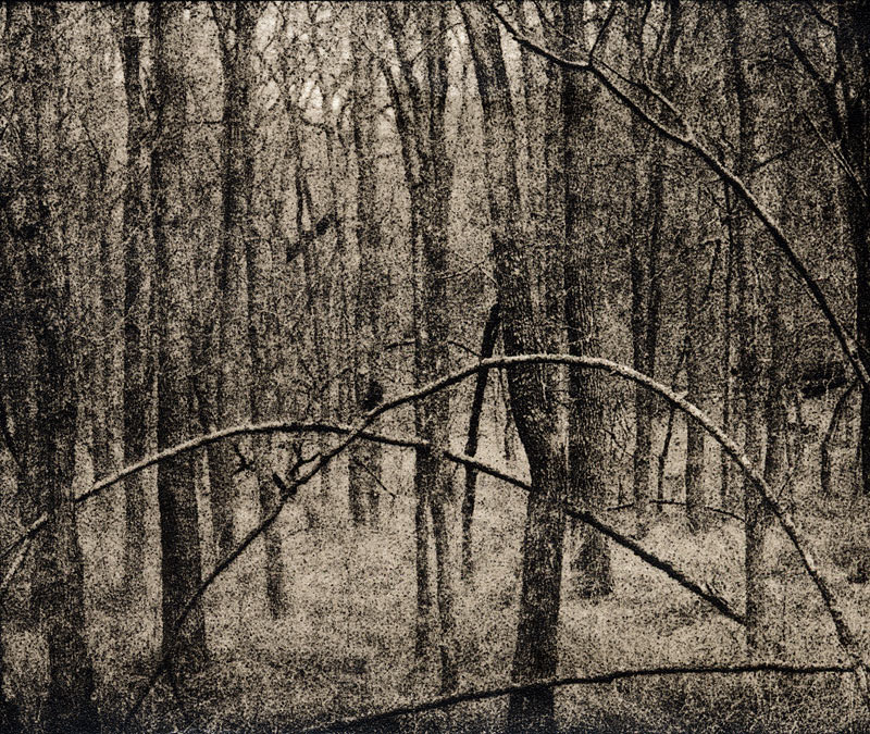 McKinney roughs bending trees 2