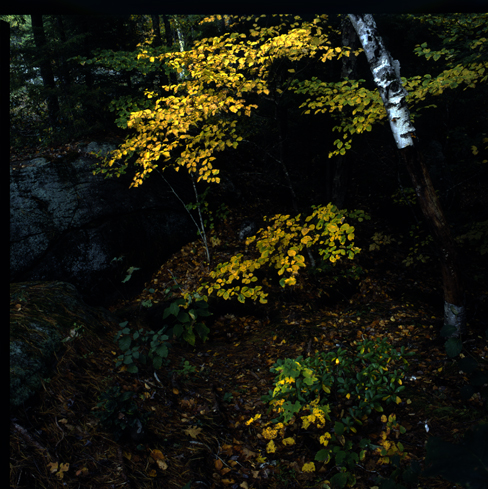 McLeod Pond # 2