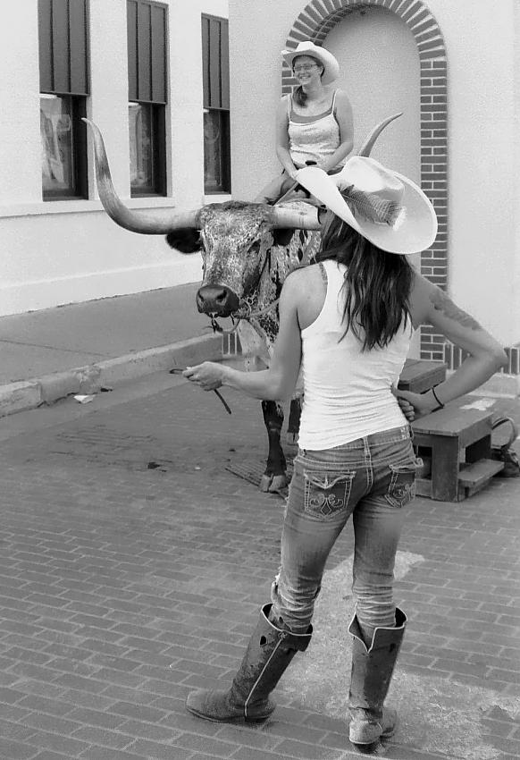 Mechanical Bull