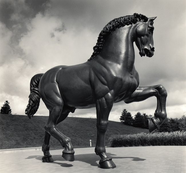 Meijer Gardens Study 1