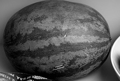 Melon