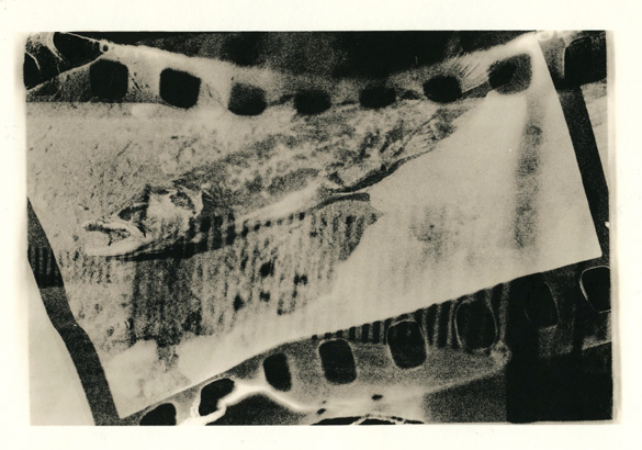 melted fish 1