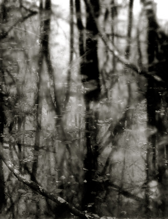 memento mori year 3 day 36b