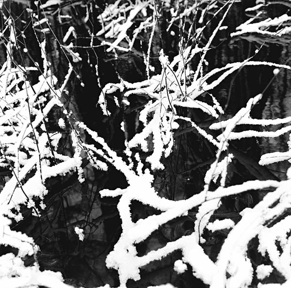 memento mori year 3 day 51
